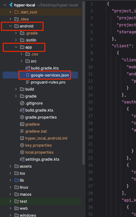 google-services.json placed in android/app